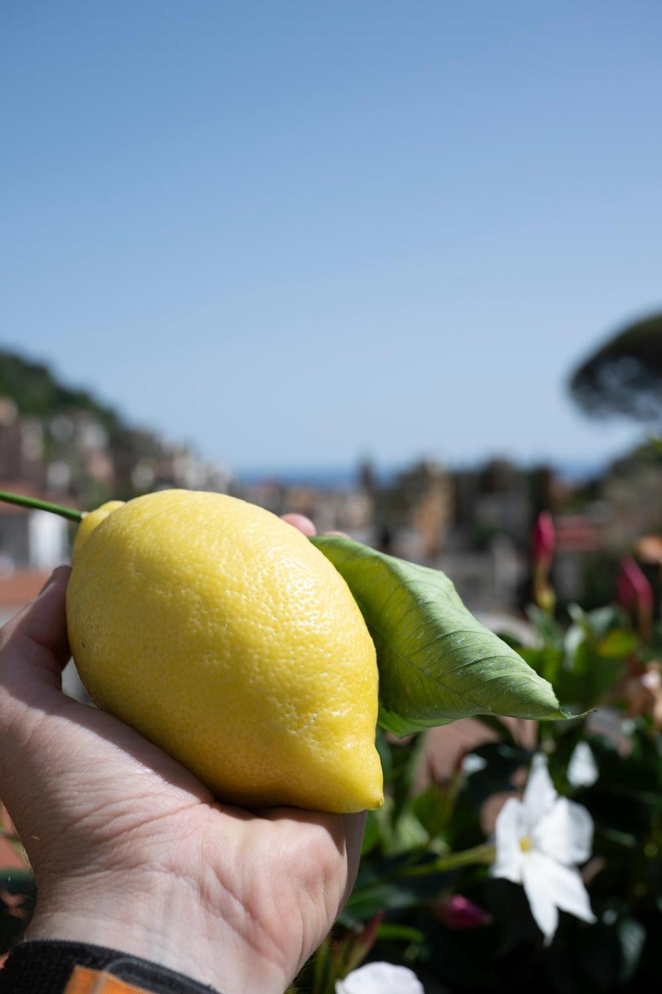 Valle D'Amalfi Suites Dış mekan fotoğraf